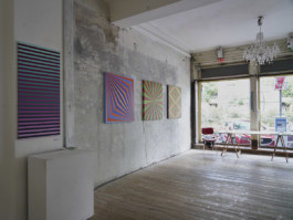  line shape space color_exhibition_vincent tups 2